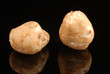 topinambour