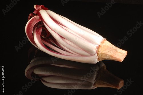 radicchio