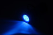 Luce