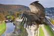 American Condor above a Castle