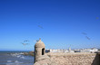 essouira essouira