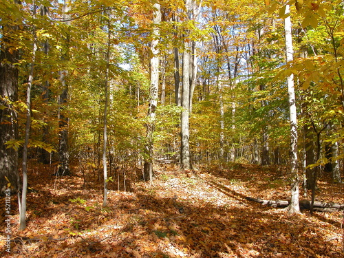 Foto: Fall in Ontario Fall in Ontario