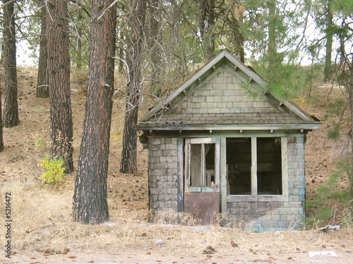 Photo: Outbuilding in Pine Forest Outbuilding in Pine Forest