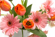 Daisies and Tulips