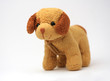 doggy