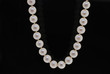 white fresh water pearl strand