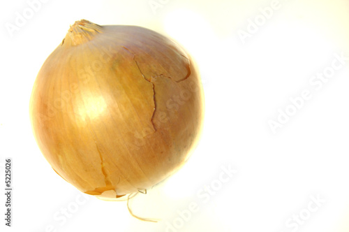 Foto: Onion #2 Onion #2