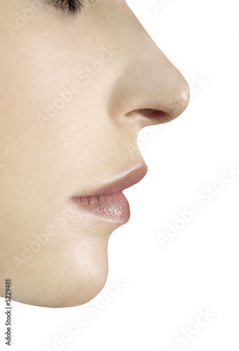 Profil