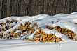 Snow covered wood
