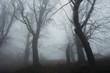 Misty forest
