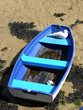 Goéland sur barque bleue