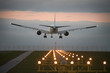 Landing airplane