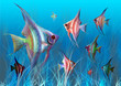 acuario
