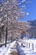 winterweg