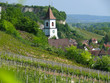 Clocher et village dans le vignoble en allemagne Clocher et village dans le vignoble en allemagne