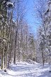 winterweg
