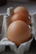 oeufs