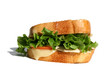 Turkey Sandwich