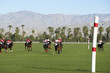 Polo Match