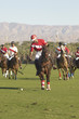 Polo Player Advancing Ball