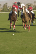 Polo Player Advancing Ball