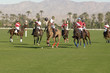 Polo Match