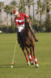 Polo Player Advancing Ball