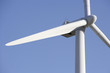 Wind mill rotor