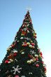 Christmas tree and blue sky