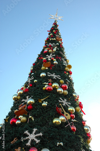 Christmas tree and blue sky