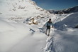 La montagne en raquettes