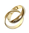 Wedding rings 3D