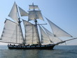 HERMINE