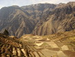 Terrasses du canyon de Colca. Terrasses du canyon de Colca.