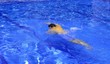 Great swimming