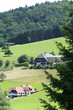 forêt noire forêt noire