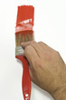red brus and hand red brus and hand