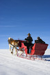 Foto: Sleigh ride. Sleigh ride.