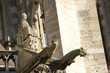 Cathédrale d'Amiens