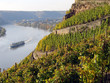 Winninger Weinberge im Herbst Winninger Weinberge im Herbst