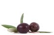 olive 105