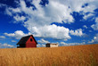 Rural landscape