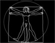 Proportionsstudie invertiert Proportionsstudie invertiert
