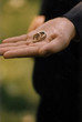 rings wedding rings wedding