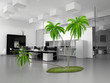 office dream
