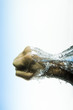 Male Fist Hits Water