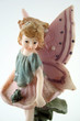Frog Fairy Frog Fairy