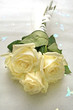 YELLOW FLOWERS