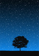 Tree Under Stars