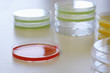Petri Dishes